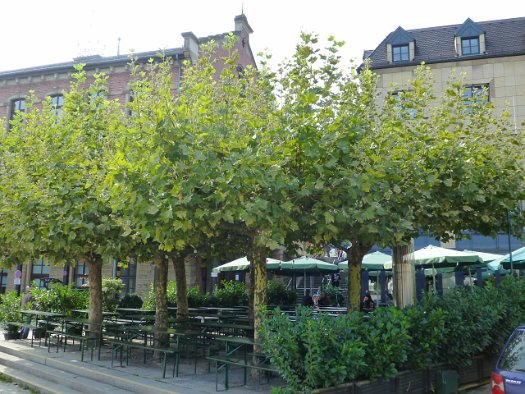 Ludwigsburger Brauhaus am Solitudeplatz (1)